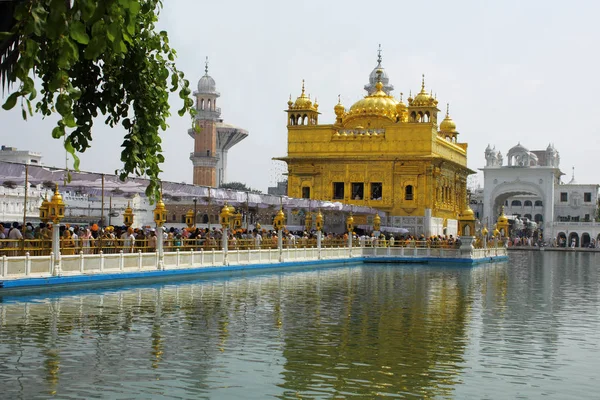 Hayranları dünyaca ünlü satır altın Tapınak, Amritsar, Punjab