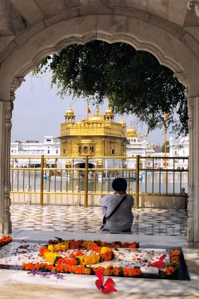Bir adanmış dünya ünlü Golden tapınakta Amritsar, Punjab bileşik içinde meditasyon