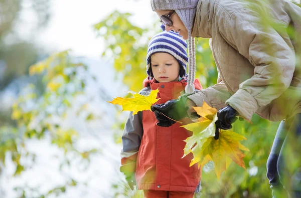 Figlio e madre guardando la foglia d'acero nel parco autunnale — Foto Stock