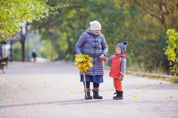 Senior kobiety i jej prawnuk na spacer w parku jesień — Zdjęcie stockowe