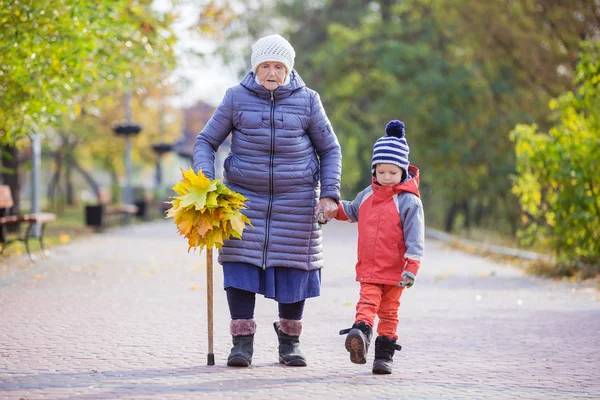 Starší žena a její pravnuk na procházce na podzim park — Stock fotografie