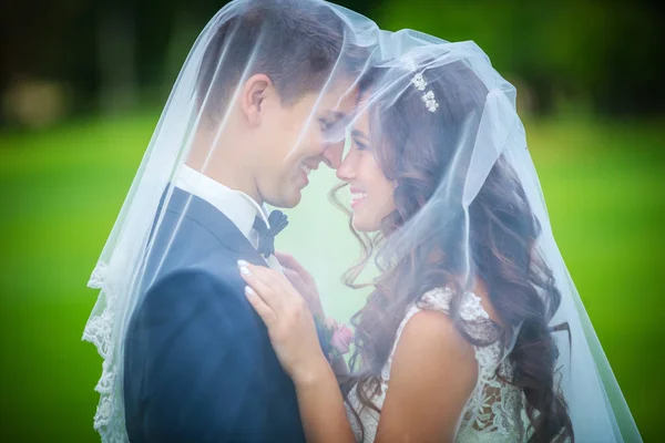 Newlyweds going to kiss under veil — Stock Photo, Image