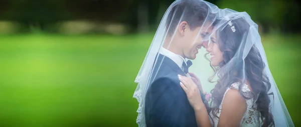 Newlyweds going to kiss under veil — Stock Photo, Image