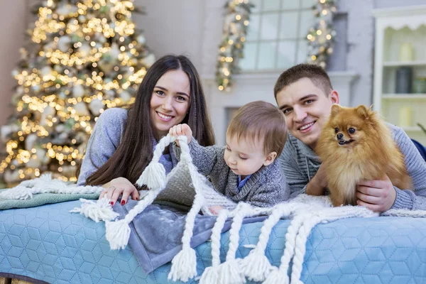 Dreiköpfige junge Familie mit Schoßhund auf Sofa mit weihnachtlichem Hintergrund — Stockfoto