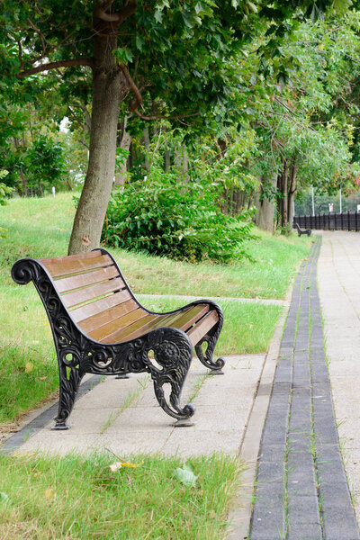 Bench on the alley in the park. Summer green trees. Beautiful landscape.