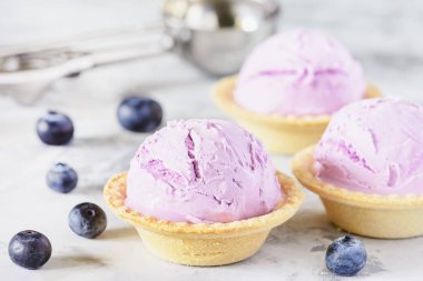 Waffle Kupasında Yabanmersini Lezzetli Dondurma