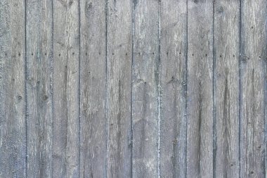 Eski püskü tahtalardan. Web sitesi veya düzen için ahşap dokusuna sahip arkaplan