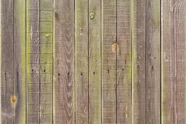 Smooth vertical brown-green boards. The structure of the wooden fence. Background for sites and layouts — 스톡 사진