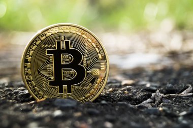 Yeni Kripto para birimi, bitcoin ve bilgisayar ücreti Finans