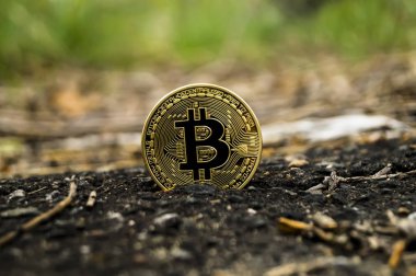 Yeni Kripto para birimi, bitcoin ve bilgisayar ücreti Finans