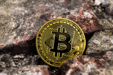 Yeni Kripto para birimi, bitcoin ve bilgisayar ücreti Finans