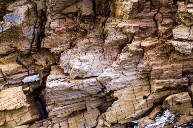 Eski çürümüş bir ağaç kabuğu yırtık dokusuna