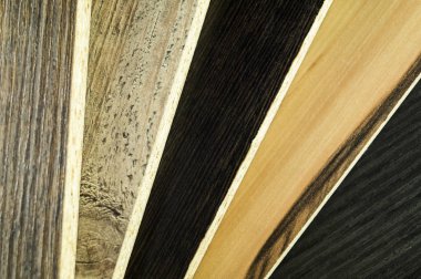 Aksesuaları, renk paleti ve doku için mobilya