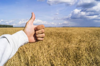 El işaretleri gibi nedeniyle iyi bir hasat gösteriyor.