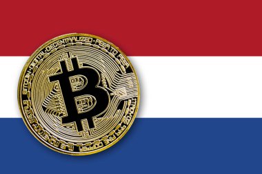 3D çizim sikke bitcoin Hollanda bayrağı