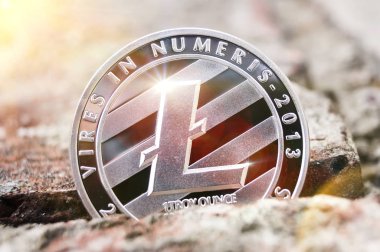Litecoin bu Kripto Döviz Alım ve Satım modern bir yoldur