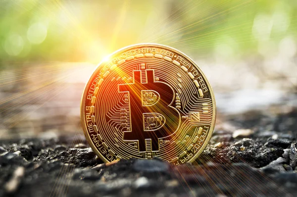 Bitcoin bu Kripto Döviz Alım ve Satım modern bir yoldur