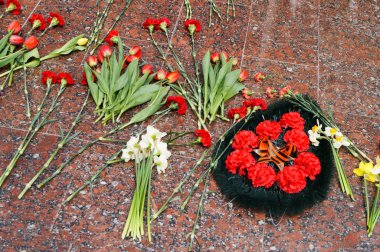 Taş döşeme hafõzasõnda çiçek