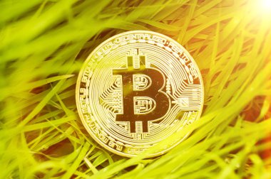 Bitcoin bu Kripto Döviz Alım ve Satım modern bir yoldur