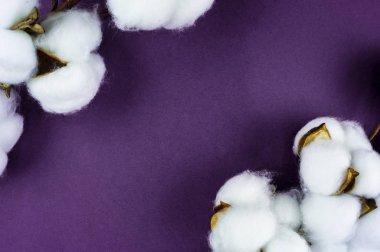 Masada yapraklı doğal pamuk. Nesne için arkaplan