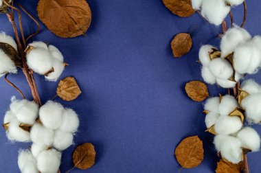 Masada yapraklı doğal pamuk. Nesne için arkaplan