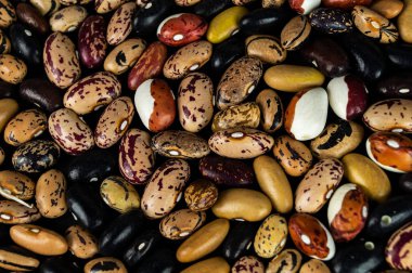 Masaya dağılmış farklı fasulyeler. Doğal ürünler.