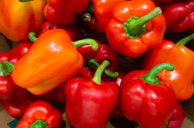 Mağazadaki çekmecede bir sürü biber var. Sebze hasadı ve sağlıklı yiyecek.