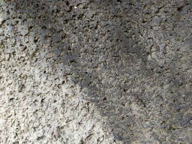 Beton bir duvara çok renkli boyalar çizmek. Güzel arkaplan