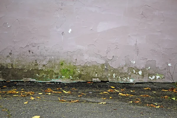 dilapidated wall and wet asphalt