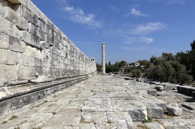 Görünüm didyma antik şehirde Apollon Tapınağı