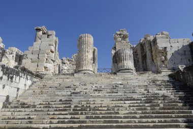 Görünüm didyma antik şehirde Apollon Tapınağı