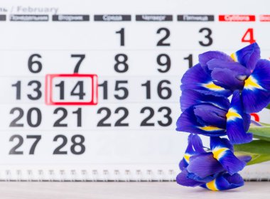 Kavram Sevgililer günü, calen üzerinde zemin üzerine mavi çiçekler