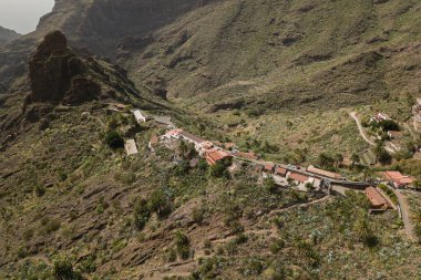 Tenerife 'deki Gorge Masca Dağlarında yürüyüş, Kanarya Adası, İspanya