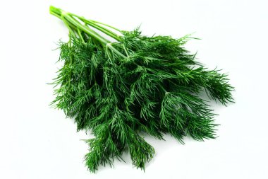 Beyaz arka planda taze dereotu yaprakları, dereotundan filiz