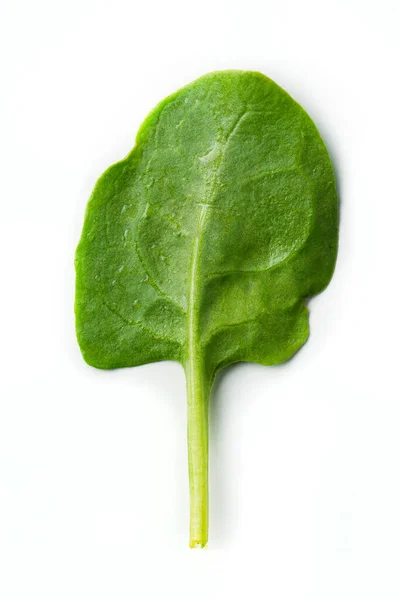 Spenat Blad Isolerad Vit Bakgrund Ovanifrån Färsk Grön Spenat Innehåller — Stockfoto