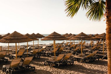 Boş Tenerife plajı, salgın hastalık ve halka açık yerlere gitme yasağı, Kanarya 'nın en popüler ve kalabalık turistik beldesi. Coronavirus Covid-19 salgını sırasında izolasyon rejimi.