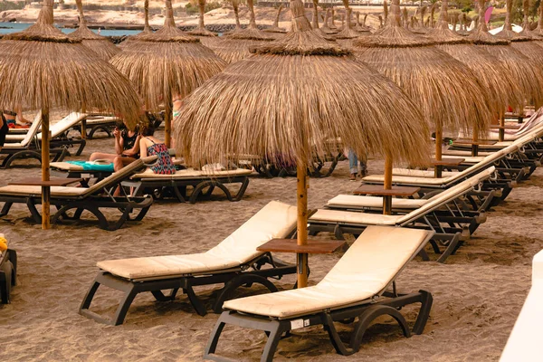 Beach Straw Umbrellas Palm Trees Umbrellas Palm Trees Beach Sun — Stock Photo, Image