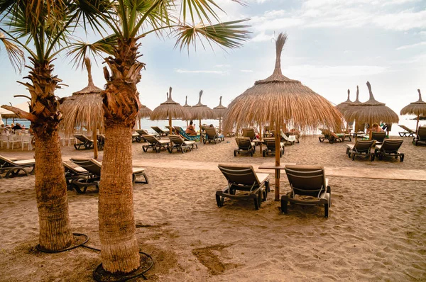 Beach Straw Umbrellas Palm Trees Umbrellas Palm Trees Beach Sun — Stock Photo, Image