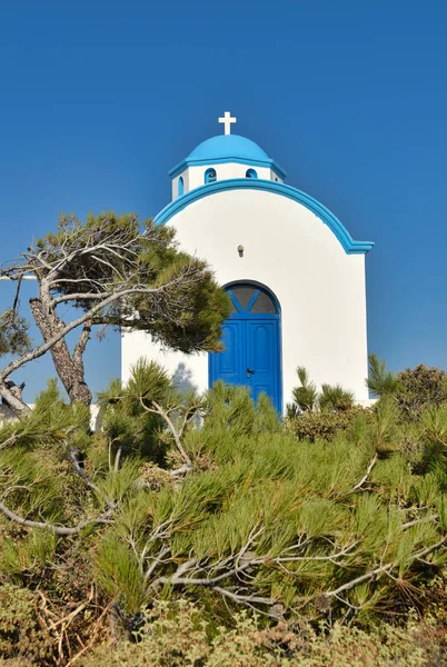 Karpathos Grecka Wyspa Sosny Morskie — Zdjęcie stockowe