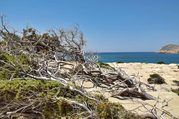 Karpathos Playa Arena Griega Con Vegetación Mediterránea — Foto de Stock