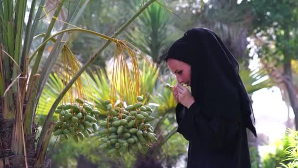 Belle femme arabe yang touchant les dates sur l'arbre . — Video