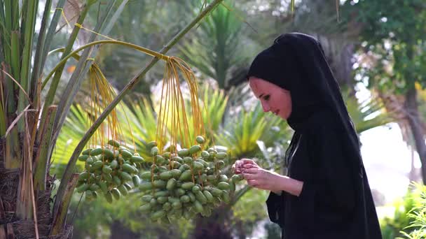 Hermosa mujer yang árabe tocando fechas en el árbol . — Vídeos de Stock