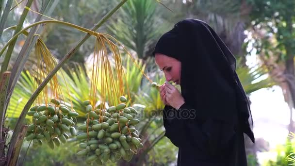 Schöne arabische Yang-Frau berührt Datteln an Baum. — Stockvideo