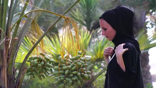 Schöne arabische Yang-Frau berührt Datteln an Baum. — Stockvideo