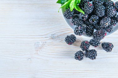 BlackBerry ile üzerine beyaz izole yaprak yeşil