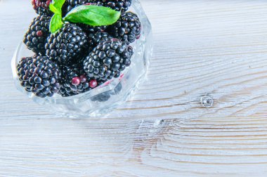 BlackBerry ile üzerine beyaz izole yaprak yeşil