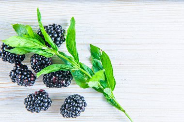 BlackBerry ile üzerine beyaz izole yaprak yeşil