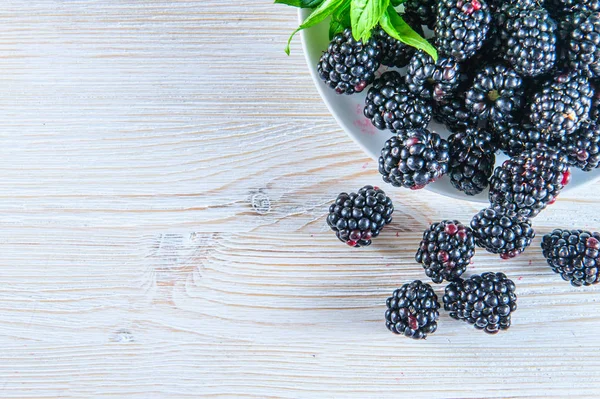 BlackBerry ile üzerine beyaz izole yaprak yeşil