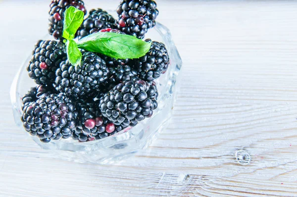 BlackBerry ile üzerine beyaz izole yaprak yeşil