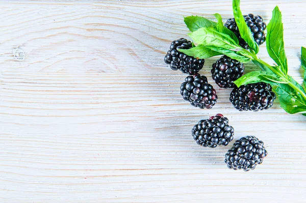 BlackBerry ile üzerine beyaz izole yaprak yeşil